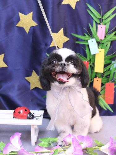 20230712たいがくん